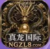 真龙国际